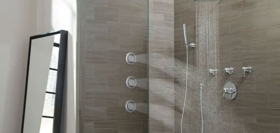 Moen Shower