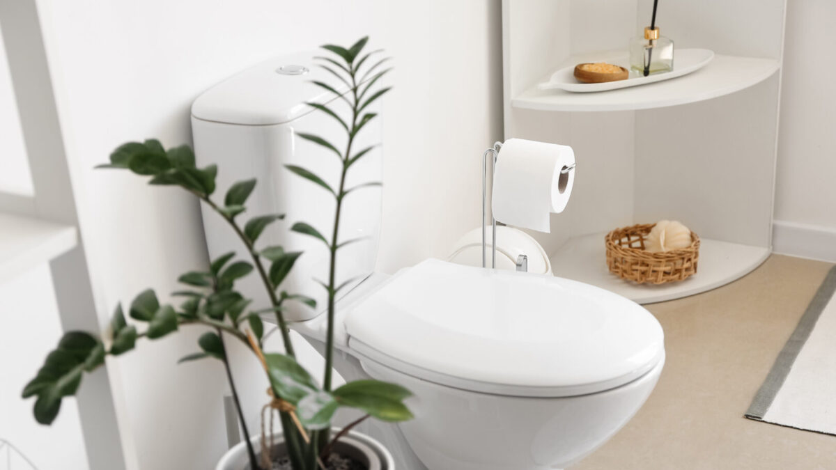 Interior of stylish modern restroom with toilet bowl